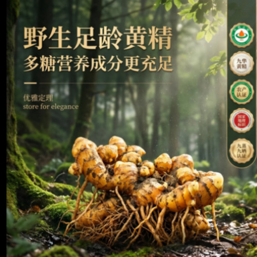 模型聚合界面